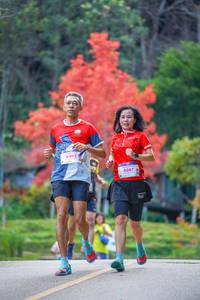 BIB: 8092, 8087, 167
                            <button type="button" onclick="openModal(19239871)" class="btn btn-primary btn-sm float-right btn-popup" data-toggle="modal" data-target=".modal-high-quality">
                        <i class="fas fa-shopping-cart"></i> Add to Cart
                    </button>
                                            <button type="button" onclick="isThisMe(19239871, true)" class="btn btn-success btn-sm float-right btn-popup btn-isme hidden" data-toggle="tooltip" data-placement="bottom" title="นี่คือรูปของคุณใช่ไหม คลิกที่นี่เพื่อเอาเข้าอัลบั้ม">
                        <i class="fas fa-plus"></i> Add to album
                    </button>
                    <button type="button" onclick="isThisMe(19239871, false)" class="btn btn-warning btn-sm float-right btn-popup btn-isnotme hidden">
                        <i class="fas fa-ban"></i> Remove from album
                    </button>